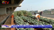 Indahnya Kebun Sayur...