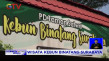 Kembali Dibuka Kebun...