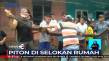 Kerap Memangsa Hewan...
