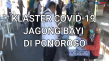 Klaster Jagong Bayi...