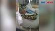 Sempat Dikabarkan Kritis,...