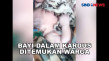 Warga Kali Asin Temukan...