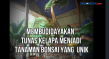Membudidayakan Tunas...