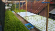 Kreatif, Atap Rumah...