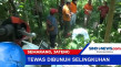 Seorang Wanita Tewas...