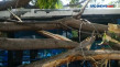 Bus Terjun Ke Parit,...