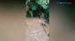 Diterjang Banjir saat...