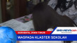Rencana Sekolah Tatap...