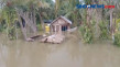 Dua Pekan Terendam Banjir,...