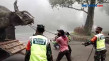 Video Viral Dinosaurus...