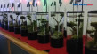 Kreasi Unik Aquascape...