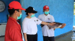 Berkah Pandemi, Ikan...