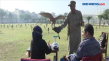 Puluhan Burung Elang...