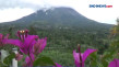Gunung Merapi Luncurkan...