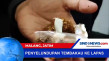 Penyelundupan Tembakau...