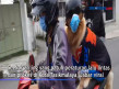 Viral! Seekor Anjing...