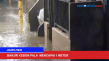 Banjir Merendam Kebon...