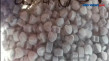 Penyelundupan 23 Kg...