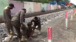 ODGJ Mengamuk di Probolinggo,...