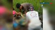 Dibakar Api Cemburu,...