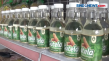 Menyulap Singkong Jadi...