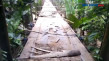 Jembatan Gantung di...