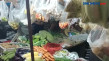 Harga Cabai Tembus Rp120...