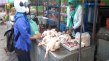 Harga Ayam Tembus Rp...