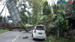 Pohon Tumbang Timpa...