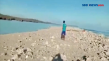 Pulau Baru Terbentuk...