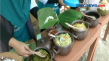Sego Pindang Godong...