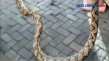 Ketegangan Warnai Evakuasi...