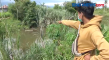 Kemunculan Buaya Muara...