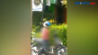 Video Viral Pria Misterius...