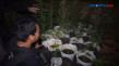 Polisi Temukan Ladang...