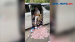Viral, Video Pamer Uang...