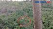 Gajah Liar Menyerang...