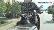 Viral, Kucing Gemar...