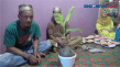Kelapa Bertunas Pohon...