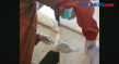 Viral Video Petugas...