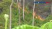 Kebakaran Hutan Terjadi...