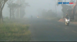 Awas, Kabut Asap Turun...