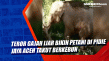 Teror Gajah Liar Bikin...
