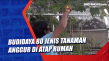 Budidaya 80 Jenis Tanaman...