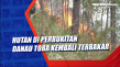 Hutan di Perbukitan...