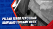Pelaku Teror Pencurian...