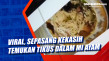 Viral, Sepasang Kekasih...