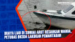 Buaya Liar di Sungai...