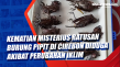 Kematian Misterius Ratusan...