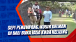 Sepi Penumpang, Kusir...